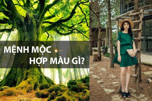 Cô nàng mệnh Mộc mặc trang phục màu gì để luôn may mắn?